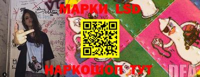 ПСИЛОЦИБИНОВЫЕ ГРИБЫ Нальчик