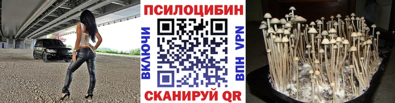 Галлюциногенные грибы Psilocybine cubensis  Гагарин 