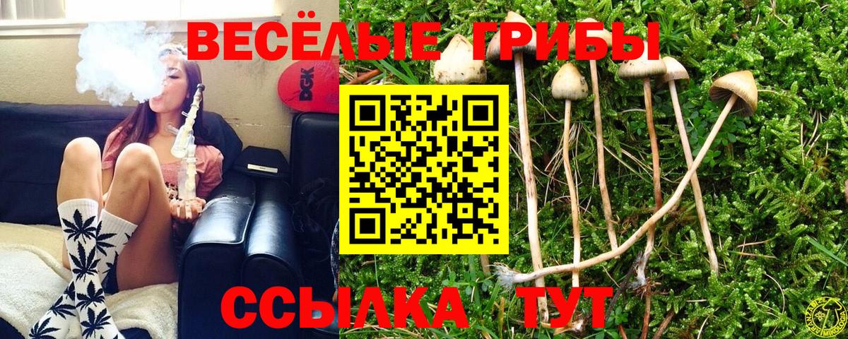 Гагарин  Псилоцибиновые грибы прущие грибы  Вход с VPN 